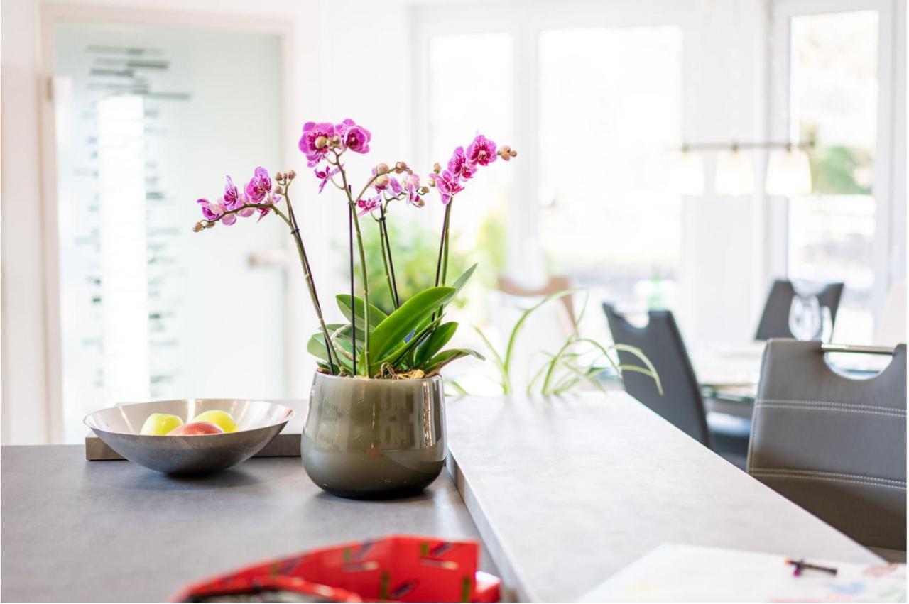 Ferienwohnung Birkenried Reisensburg Esterno foto